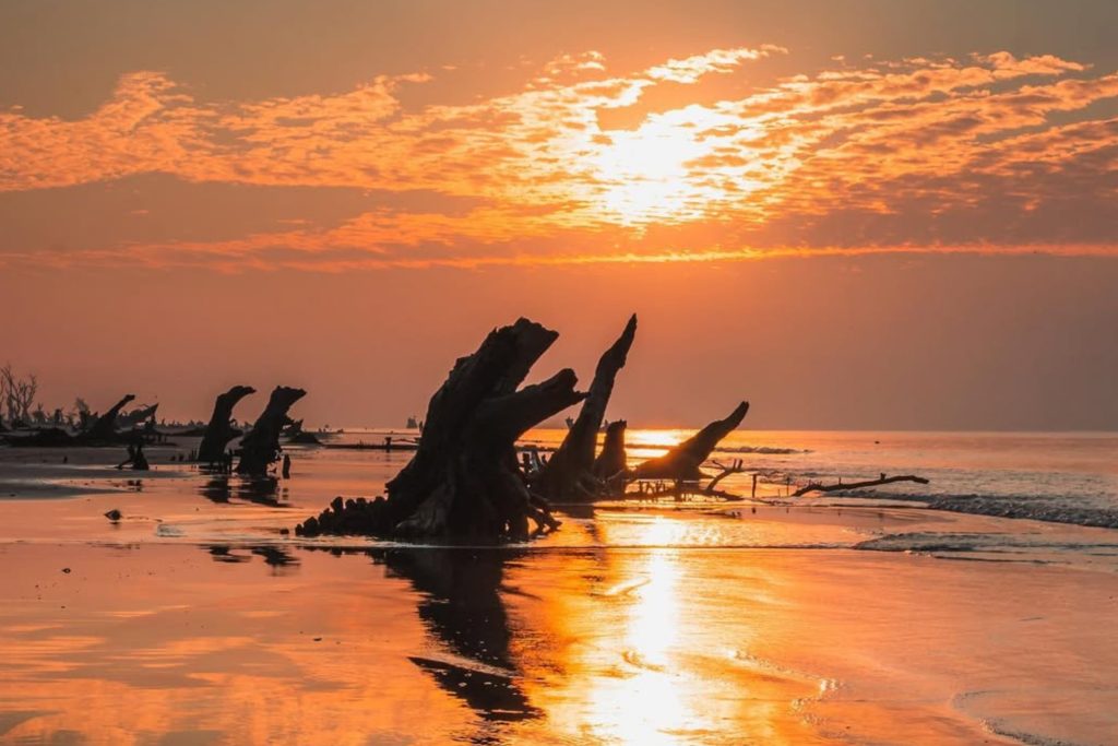 Cox's Bazar