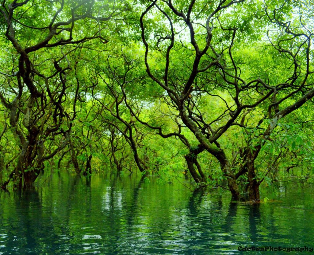 Kaptai Lake