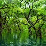 Kaptai Lake