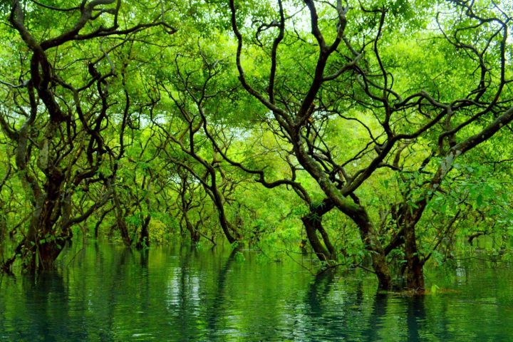 Kaptai Lake