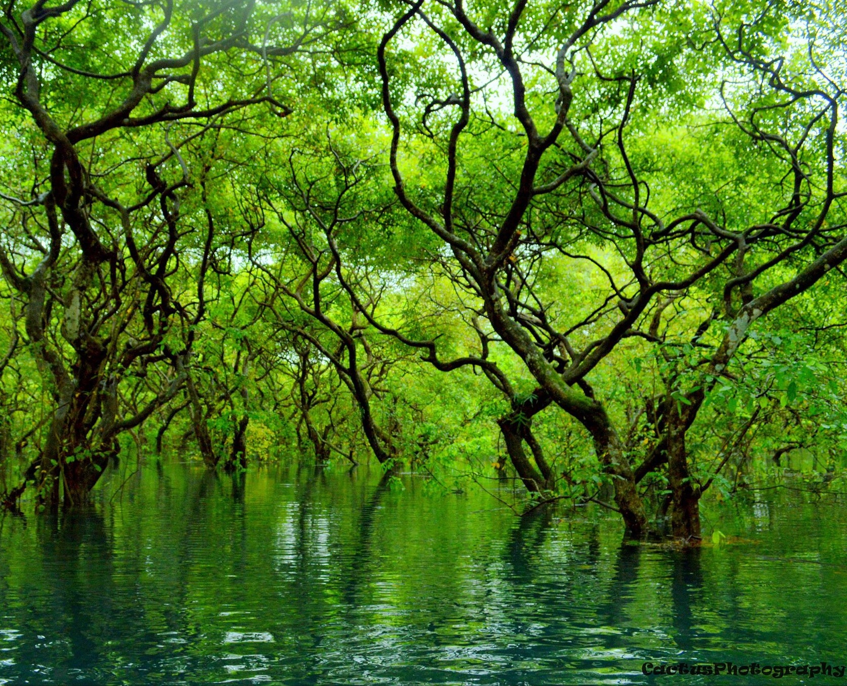 Kaptai Lake