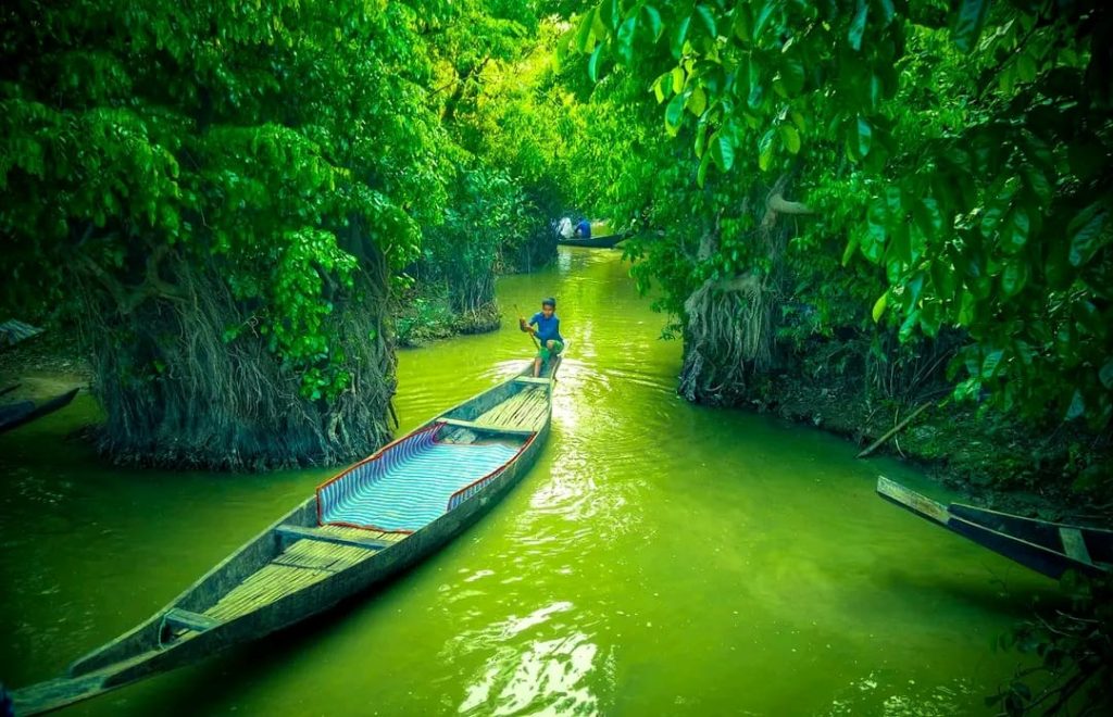Ratargul Swamp Forest