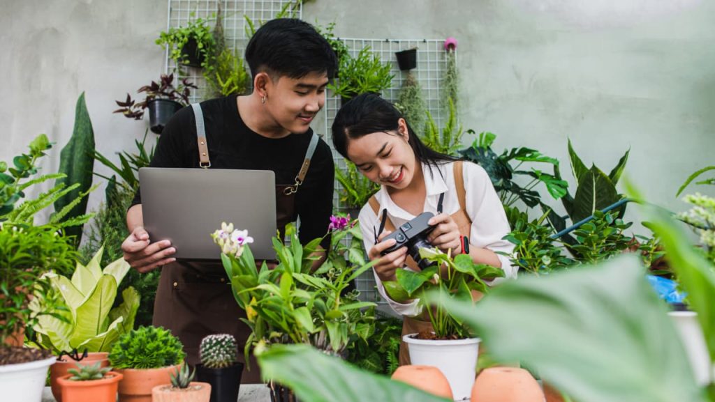 green startups