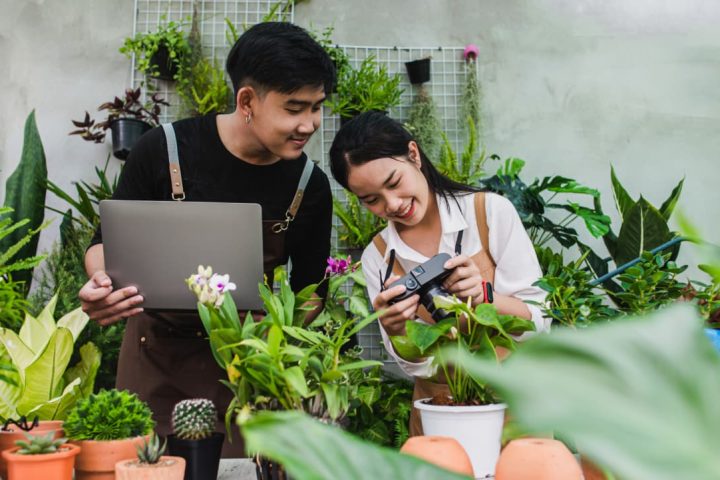 green startups