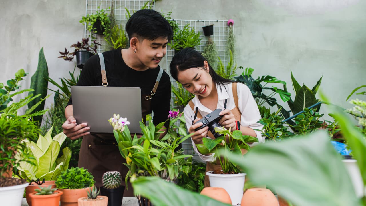 green startups