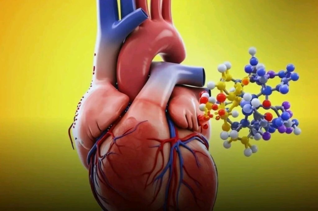 Heart Health