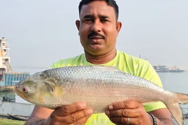 Fisheries