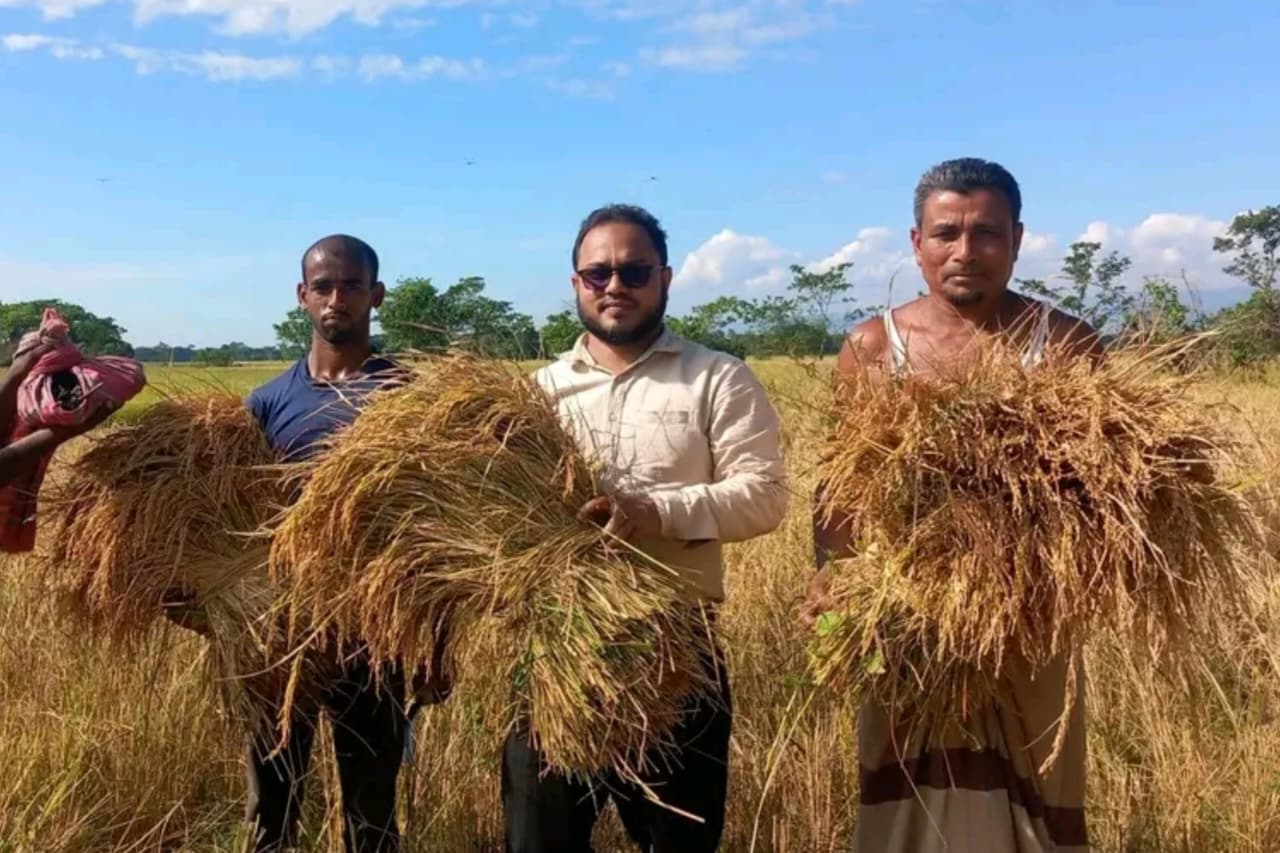 Farmers