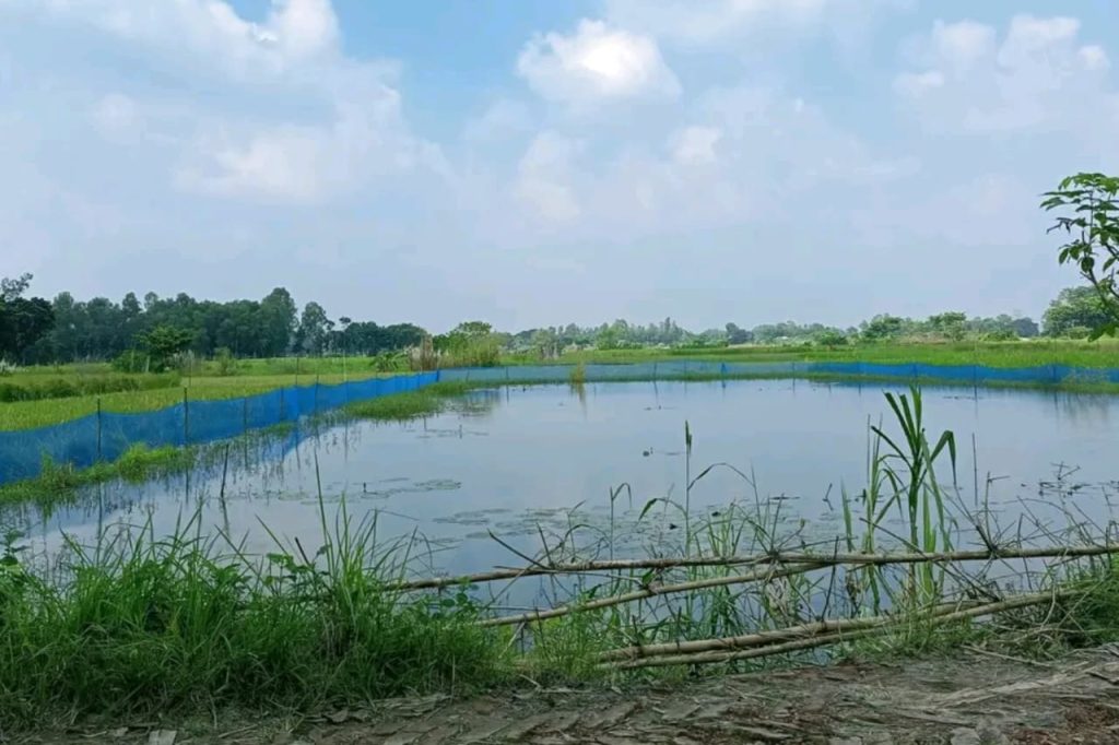 Homemade Ponds