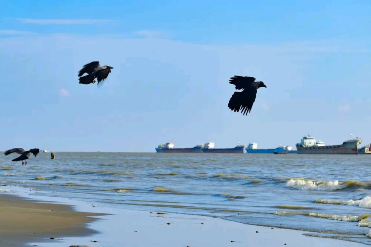Patenga Beach