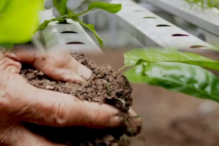 Soil