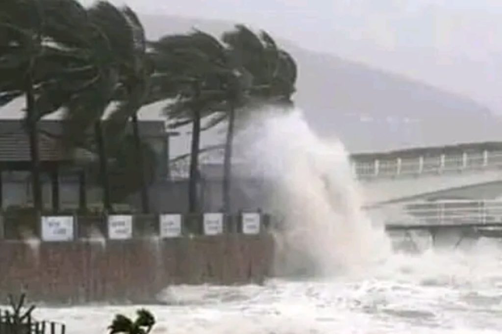 Cyclone