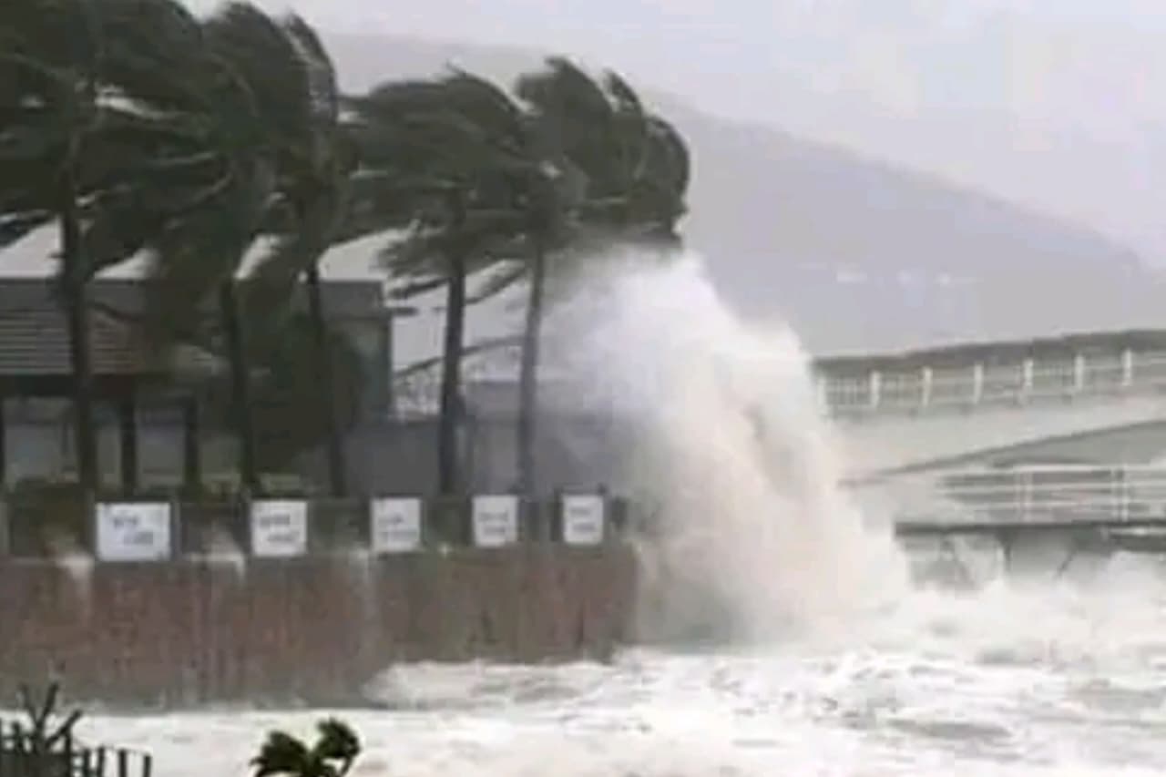 Cyclone
