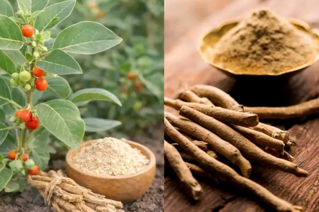 Ashwagandha