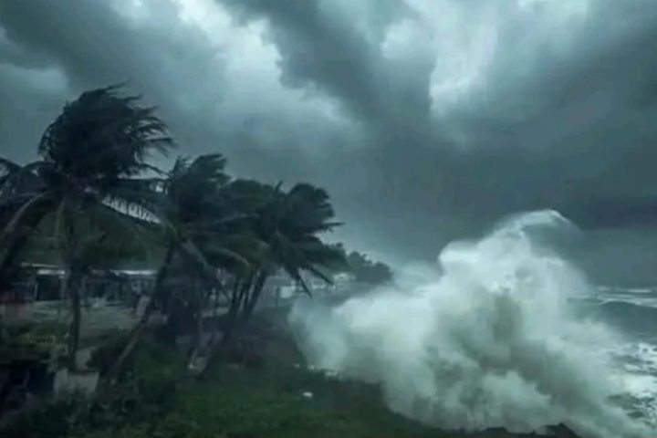 Cyclone Alert