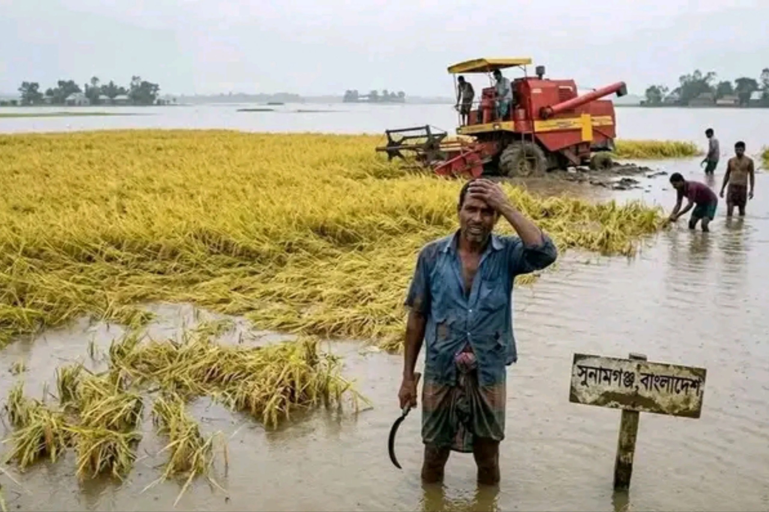 Flash Flood