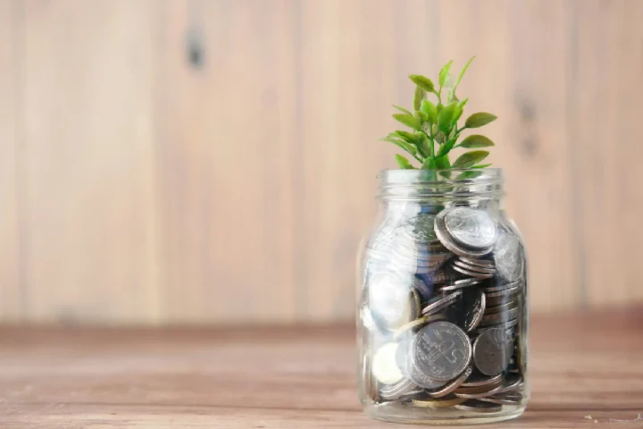 Fixed Deposit (FDR) Schemes