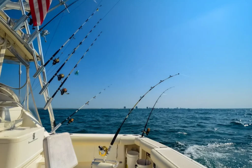 Hilsa Fishing Ban Periods Explained