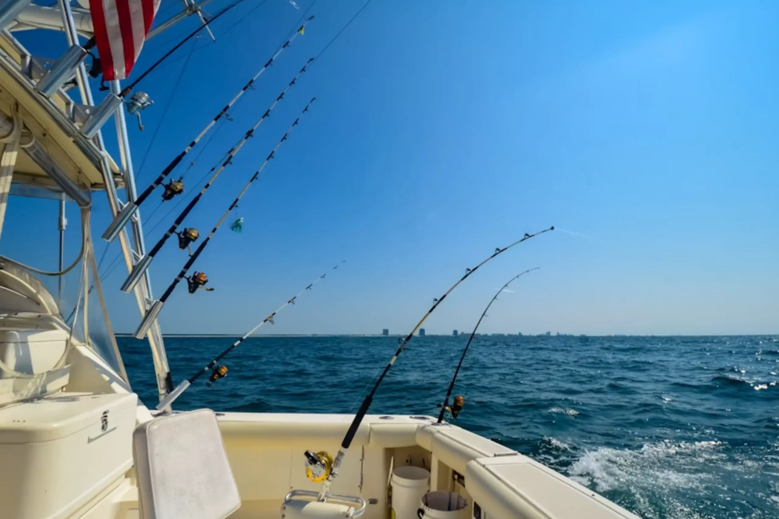 Hilsa Fishing Ban Periods Explained