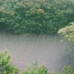 Indoor Air Quality During Heavy Rain