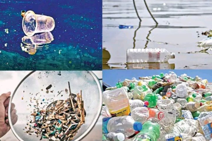 Microplastic pollution