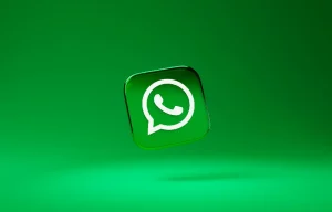 WhatsApp Username Feature