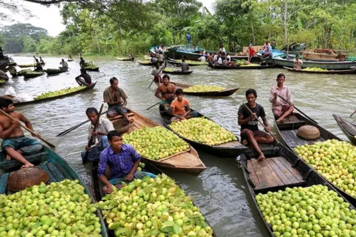 Atghar Floating Market