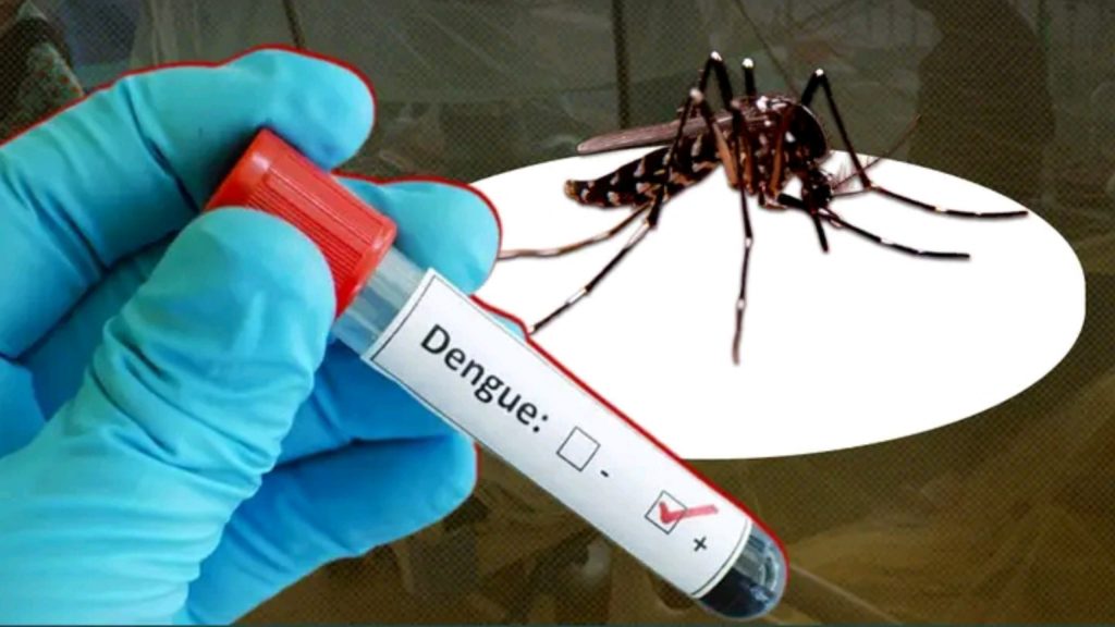 Bangladesh Faces Fresh Dengue Surge