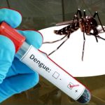 Bangladesh Faces Fresh Dengue Surge