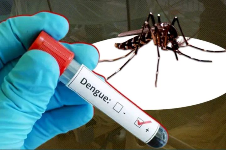 Bangladesh Faces Fresh Dengue Surge