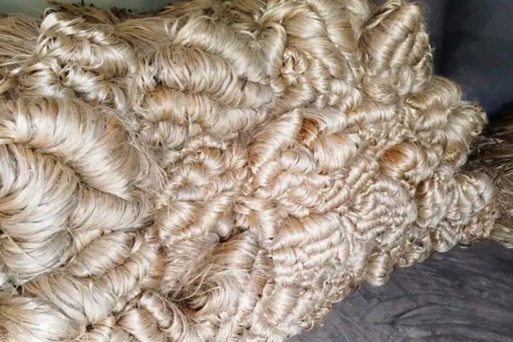Jute Industry