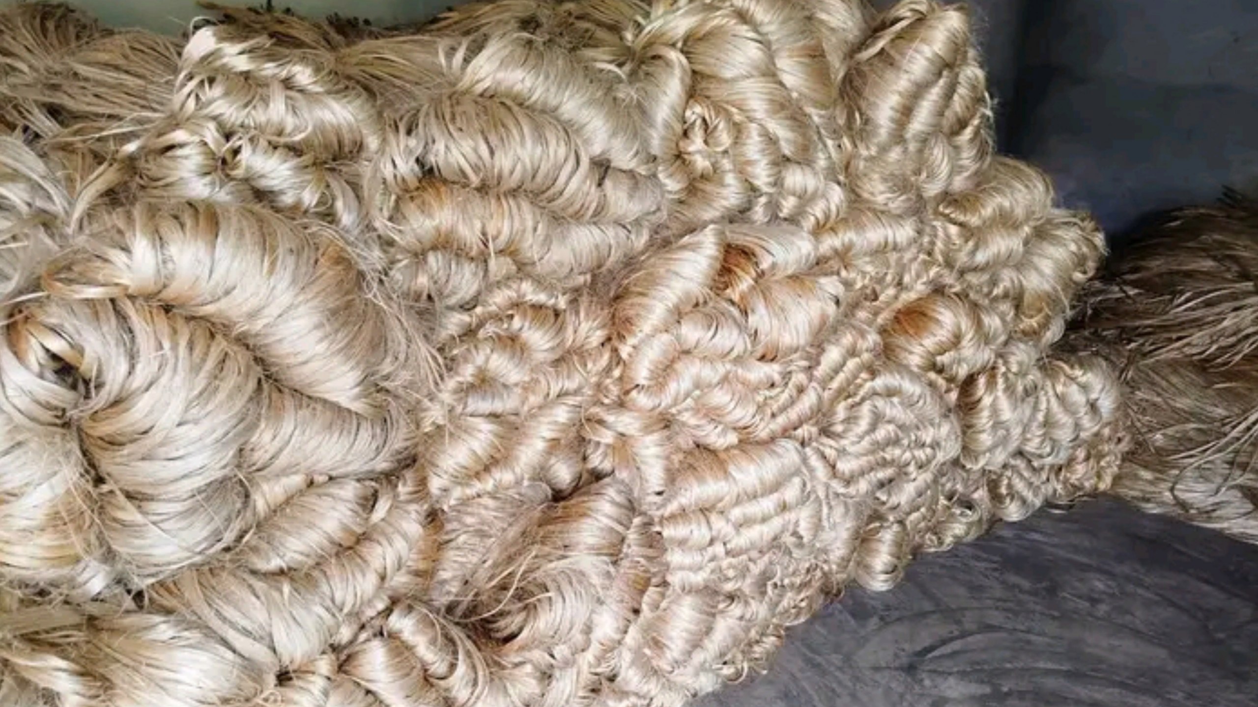 Jute Industry
