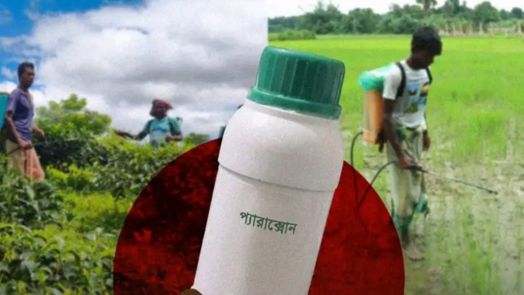 Paraquat in Bangladesh
