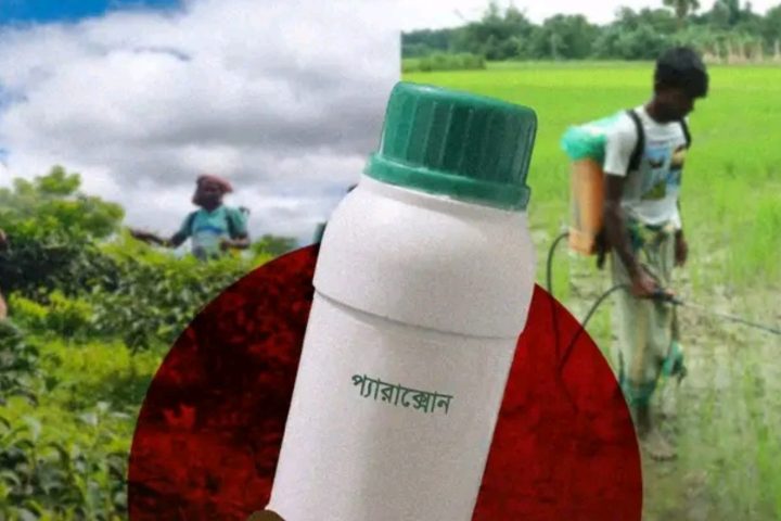 Paraquat in Bangladesh