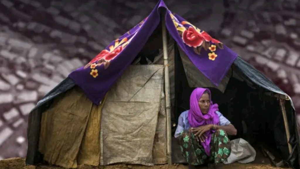 Rohingya
