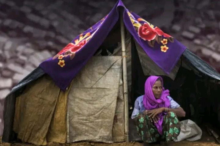 Rohingya