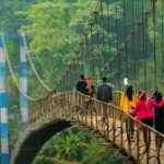 The Best Ways to Travel and Places