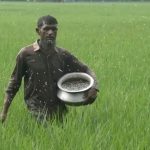 fertilisers