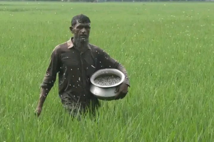 fertilisers