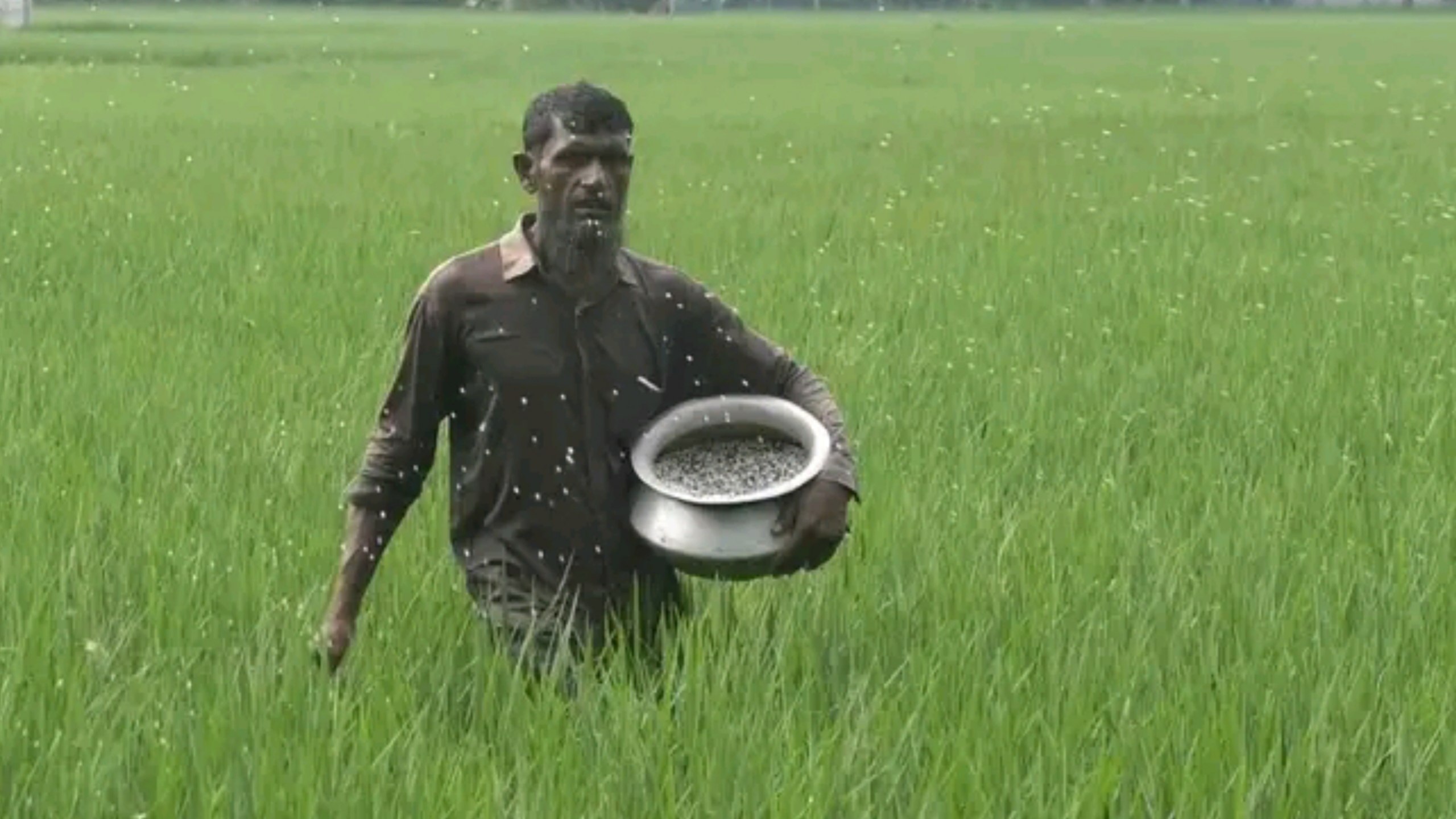 fertilisers