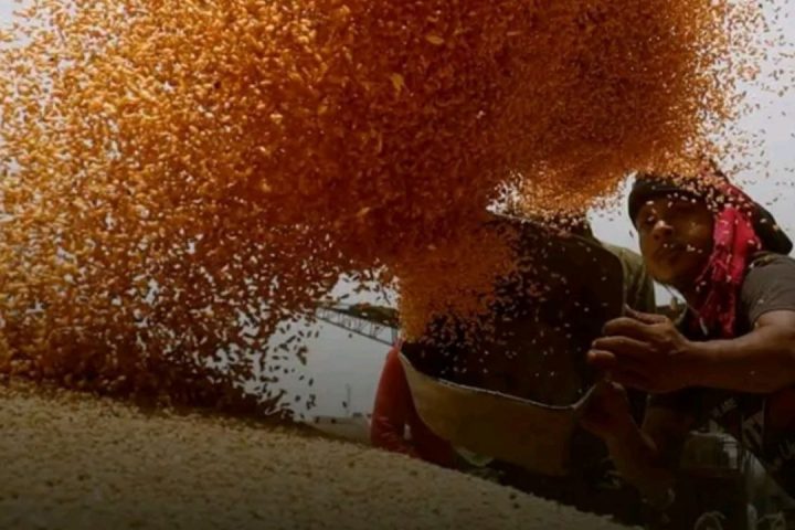 Bangladesh Indian wheat imports