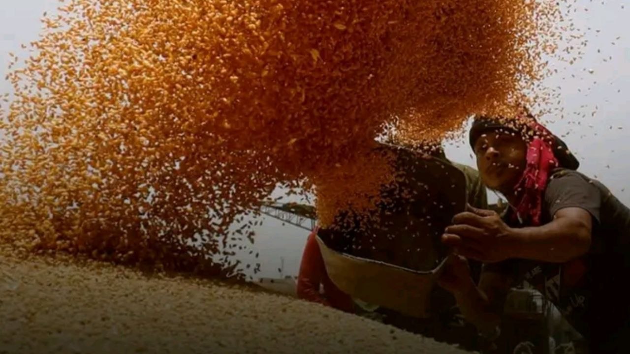 Bangladesh Indian wheat imports