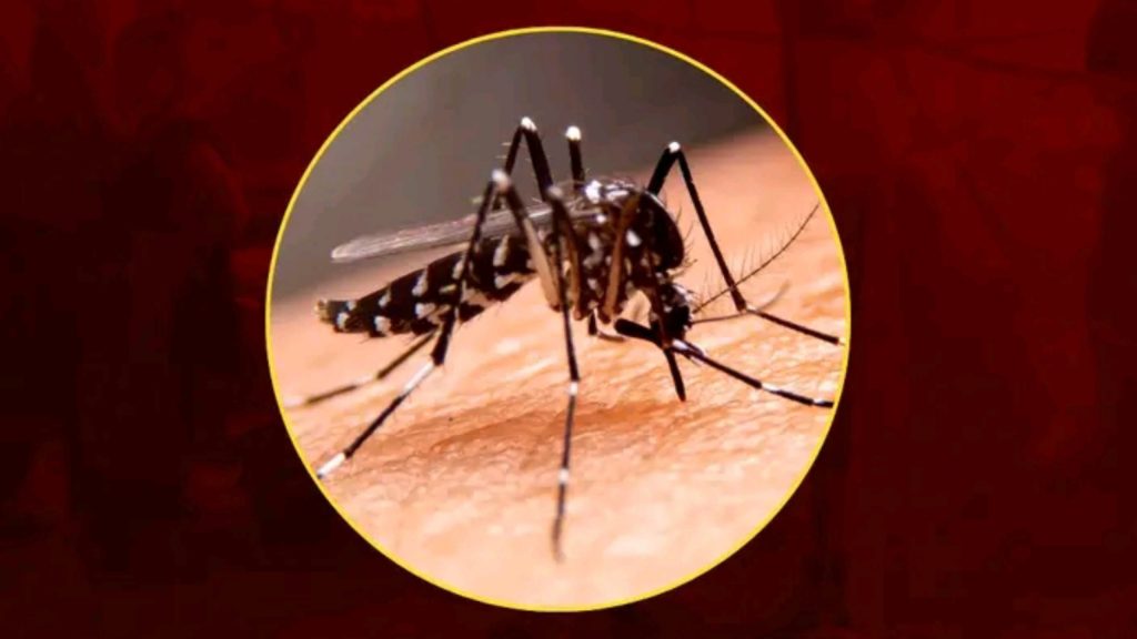 Bangladesh dengue outbreak 2026