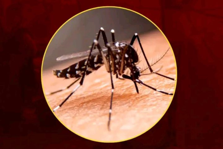 Bangladesh dengue outbreak 2026