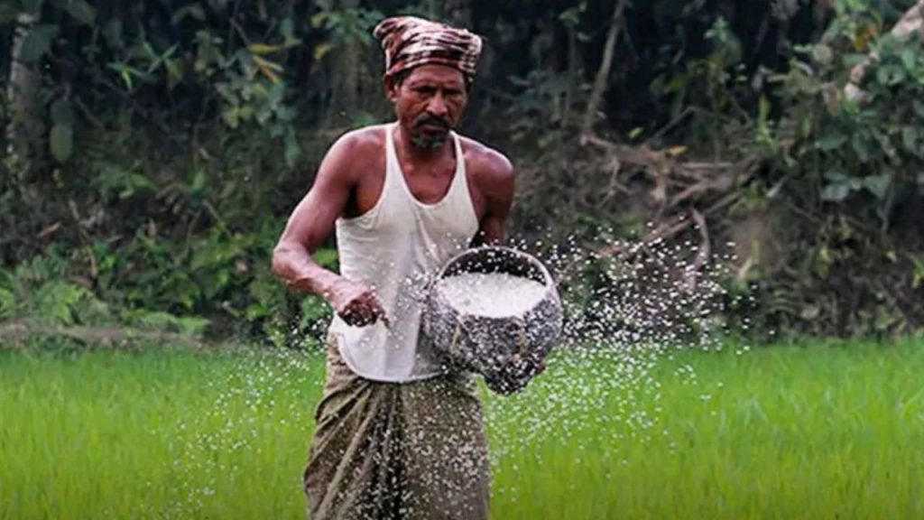 Bangladesh fertiliser subsidies