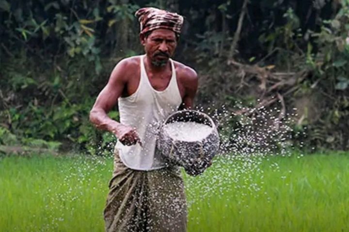 Bangladesh fertiliser subsidies