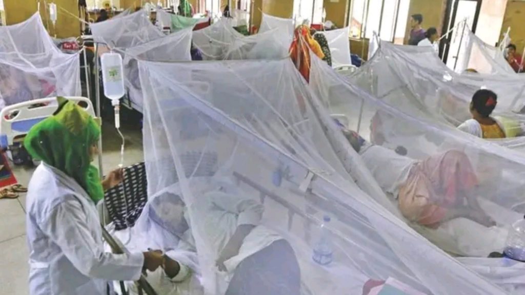 Dhaka Dengue Outbreaks