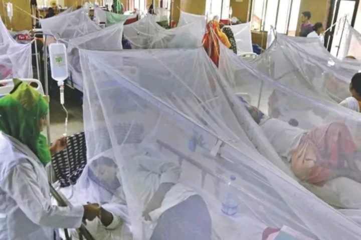 Dhaka Dengue Outbreaks