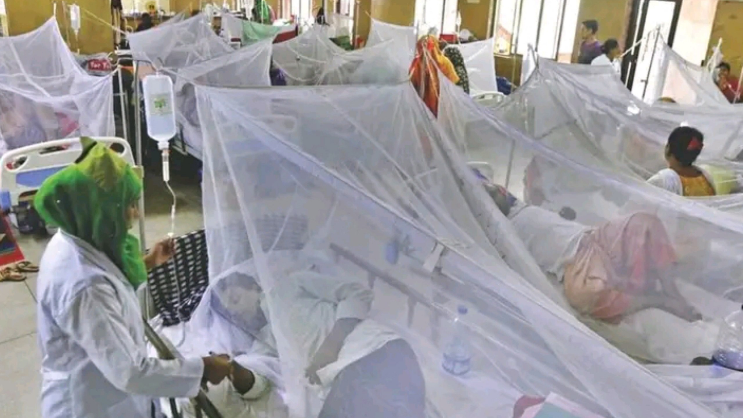 Dhaka Dengue Outbreaks