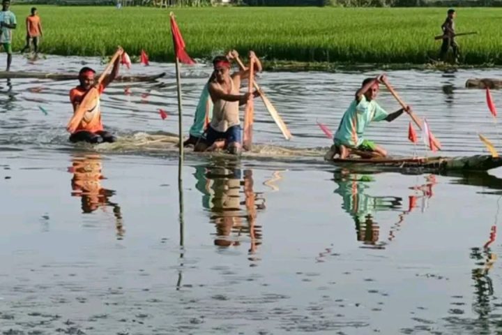 Kushtia banana-tree raft race